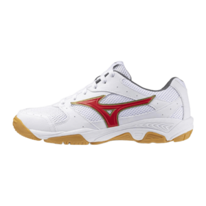 gym-shoes
